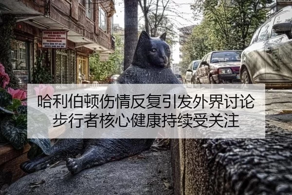 哈利伯顿伤情反复引发外界讨论 步行者核心健康持续受关注